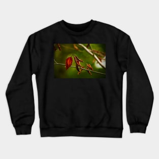 Dry Red Leaves Crewneck Sweatshirt